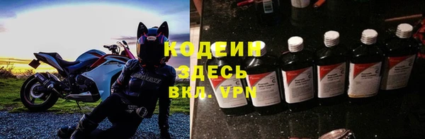прущие грибы Чекалин