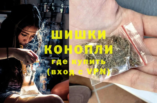 прущие грибы Чекалин