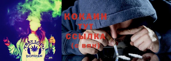 трава Чердынь