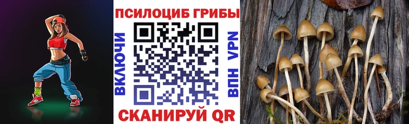 Псилоцибиновые грибы Magic Shrooms  shop клад  Боровск 